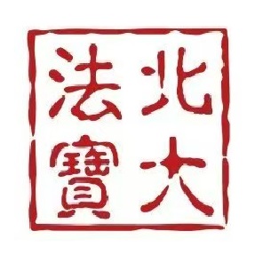 北大法宝LOG